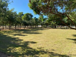Parque Municipal Josepha Coelho ganha nova área de lazer