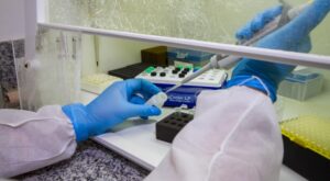 20 Estados brasileiros já têm casos confirmados de oropouche
