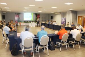Empresas fecham acordo exclusivo para monitorar mosca-da-fruta para exportação de manga para os EUA
