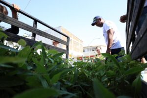 Carro da Planta: Prefeitura de Petrolina leva mudas de plantas para Cohab VI