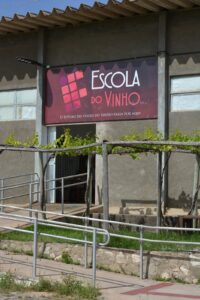 Único do Norte-Nordeste, curso de Viticultura e Enologia do IFSertãoPE recebe nota máxima em avaliação do MEC
