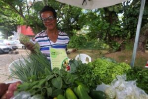 Editais do Governo do Estado somam R$ 5 milhões de investimentos para mulheres do campo e quilombolas