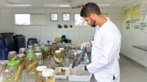 Cemafauna destaca importância de Acervos Científicos de Biodiversidade