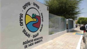AMMA orienta sobre poda e retirada de árvores em Petrolina