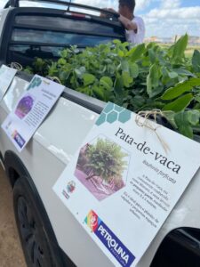 Prefeitura de Petrolina divulga cronograma do Carro da Planta para o mês de março