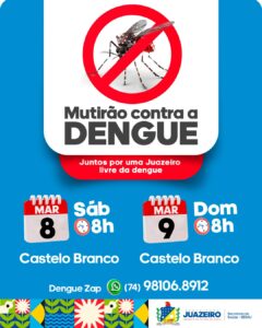 Mutirão de Combate às Arboviroses chega ao Castelo Branco no final de semana