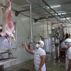 Dormentes anuncia oficialmente a conquista do Selo SISBI nesta sexta-feira (29)