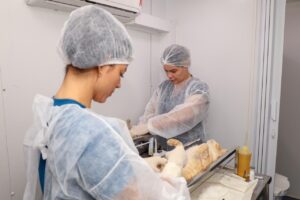 Petrolina disponibiliza 1.300 castrações gratuitas para cães e gatos em setembro