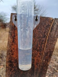 Comunidades da zona rural de Petrolina registram chuva na manhã desta quinta-feira
