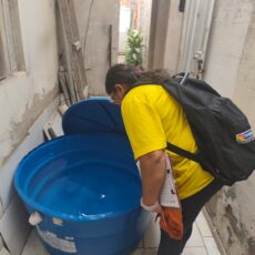 Da periferia ao centro: ações da Prefeitura mantêm Petrolina fora do risco da dengue