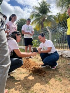 AMMA promove plantio de mudas nativas em alusão ao Dia Mundial da Educação Ambiental