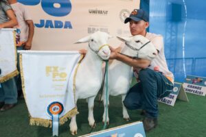 Definida data da 13ª edição da ExpoRajadaEvento marca a abertura do calendário junino de Petrolina