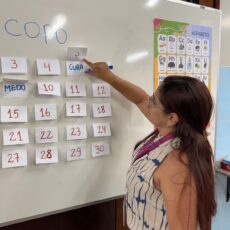 Educação interrompida no Brasil: milhões ainda não sabem ler ou escrever e universidades se mobilizam para enfrentar o desafio