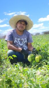 Feira da Agricultura Familiar que seria realizada nessa quinta-feira é adiada<div><span style="background-color: rgb(18, 19, 24); color: rgb(255, 255, 255); font-family: Verdana, Geneva, sans-serif; font-size: 16px; font-weight: 400; white-space-collapse: collapse;"></span></div>