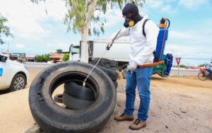 Resultado do 2º LIRAa aponta Petrolina em situação de alerta para o mosquito Aedes aegypti