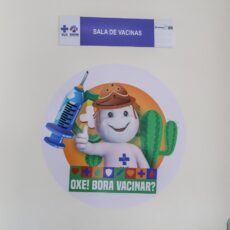 Dia D de Vacinação contra a gripe acontece nesse sábado em Petrolina