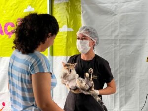 Castramóvel atende mais de 250 animais em Lagoa Grande