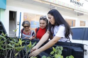Carro da Planta distribui mudas gratuitas nesta quarta-feira no bairro Vila Mocó