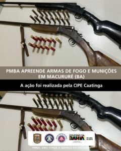 Apreensão de armas de fogo e munições na zona rural de Macururé (BA)