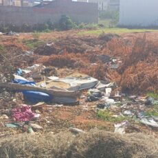 Prefeitura de Petrolina vai intensificar as fiscalizações para combater o descarte irregular de lixoCidadãos podem denunciar as situações que envolvam o descarte irregular para o Programa Petrolina + Limpa