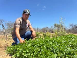 Dia do Agricultor:  Juvenilson Passos reforça compromisso com o agronegócio e a agricultura familiar na Bahia